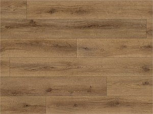 Paradigm Conquest Charm 9 x 72